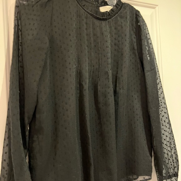 Loft, black Swiss dot, sheer sleeves, velvet trim top, size XS - Picture 4 of 6